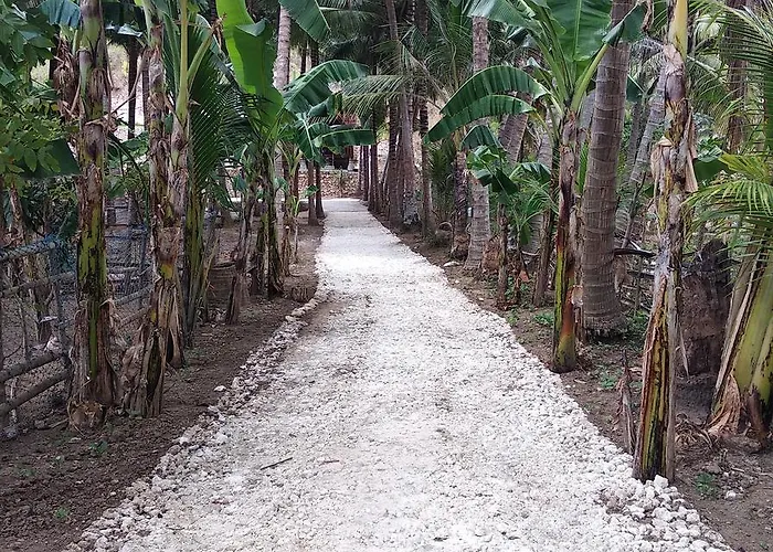 Coconut Hill 3*