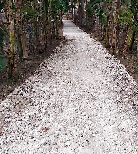 Coconut Hill Hotel 3*